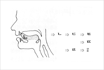 ㄴ(니은)이란 글자가 나타내는 소리를 낼 때 혀 이미지